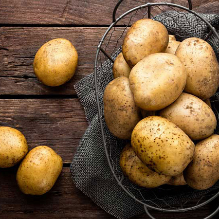 Картофель семенной, Ла Страда, урожайный, жароустойчивый