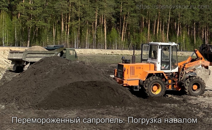 Сапропель, органический, рассыпчатый