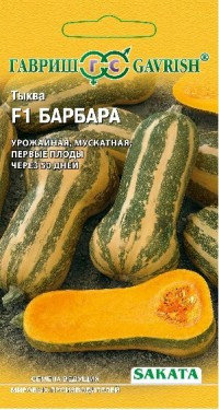 Тыква семена, Барбара, гибридный, мускатный