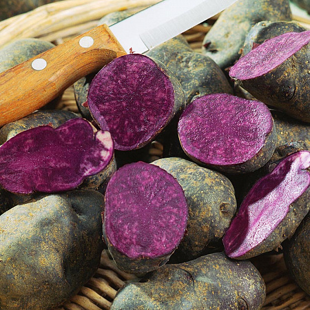 Картофель семенной, Чудесник, среднеспелый