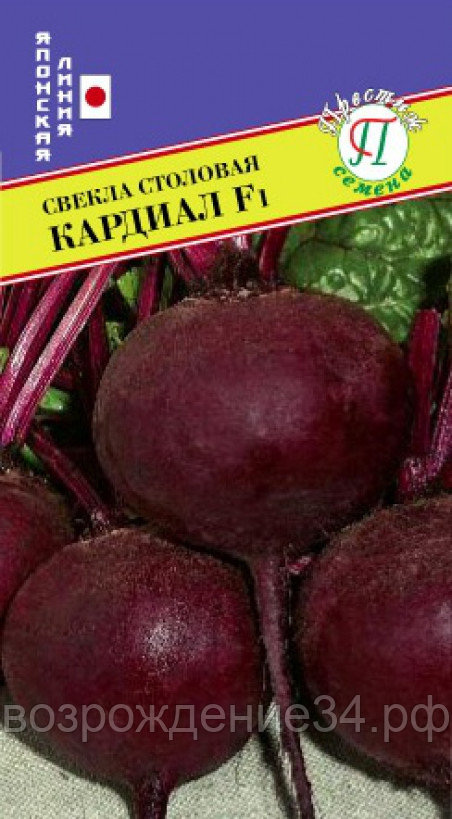 Свёкла столовая семена, Кардиал F1, гибридный, поздний