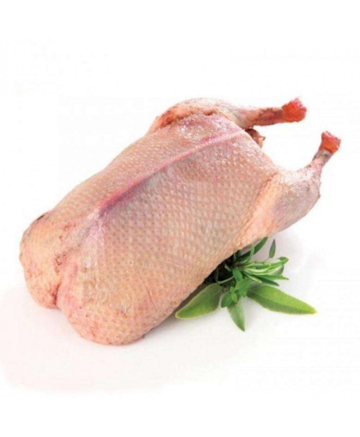 Гуси (мясо), тушка, свежий, натуральный
