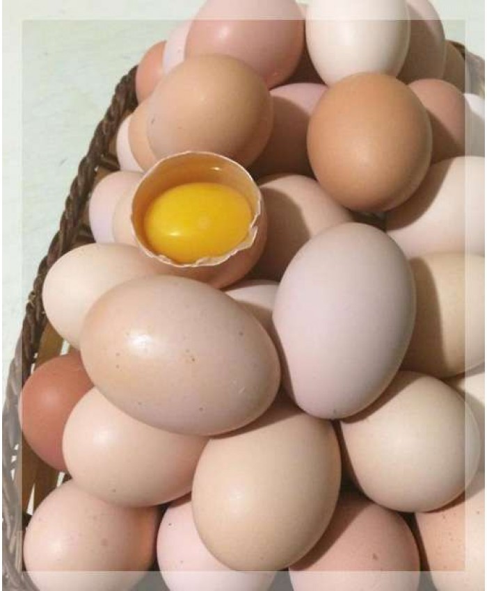 Яйцо куриное, чистое, белое