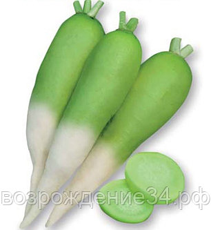 Дайкон семена, Мисато Грин, гибридный, урожайный
