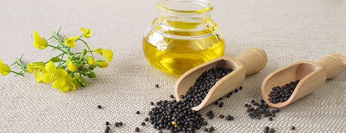 Масло растительное, Рапсовое, рафинированное