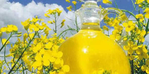 Масло растительное, Рапсовое, рафинированное