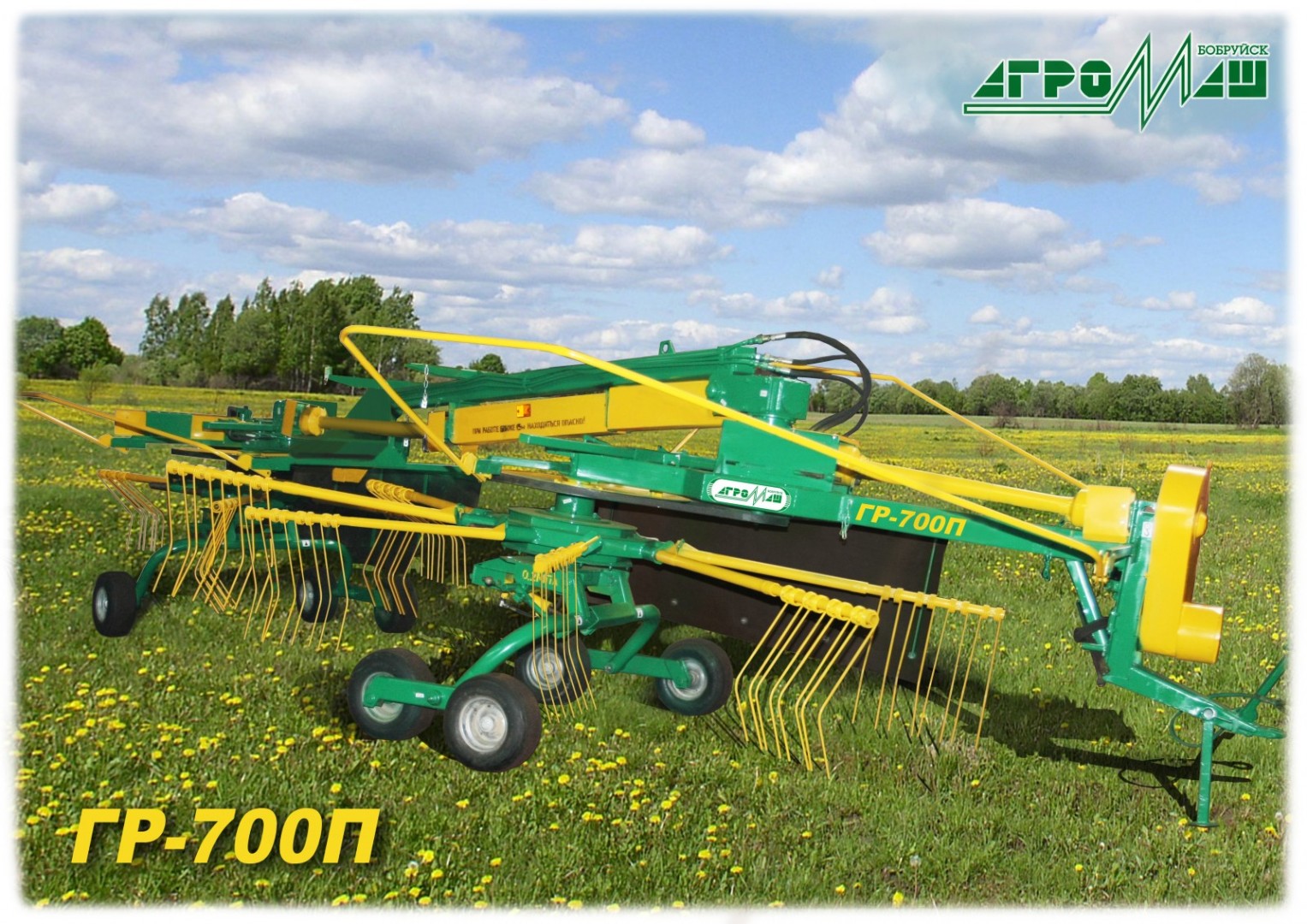 Грабли роторные, ГР-700П, БобруйскАгроМаш