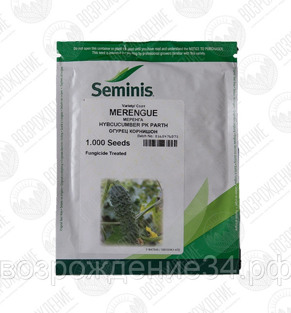 Огурец семена, Меренга F1, раннеспелый, гибридный