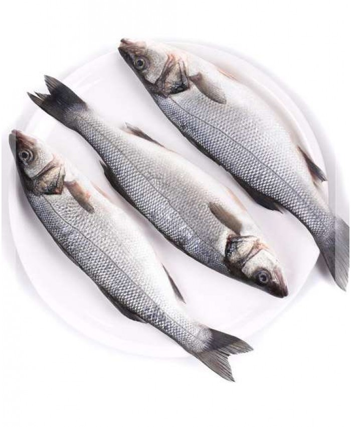 Рыба охлаждённая, Сибас, морская, непотрошёная